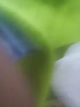 Orlao25cm online show from February 24, 2026, 3:07 am