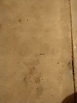 Snapshot of Travieso_21 chatting on October 23, 2025, 7:40 am Travieso 21 online show from October 23, 2025, 7:40 am