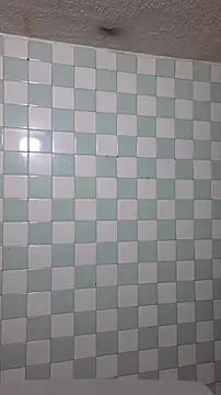 Snapshot of princess_foxxy chatting on November 20, 2025, 2:45 am princess foxxy online show from November 20, 2025, 2:45 am