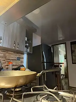 Snapshot of FreszX chatting on February 20, 2026, 3:36 pm FreszX online show from February 20, 2026, 3:36 pm