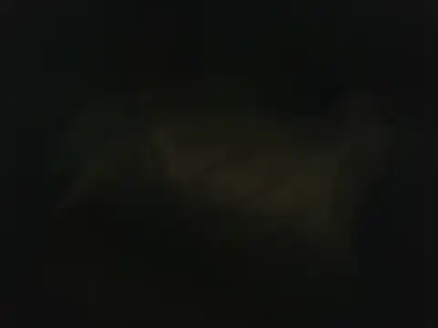 wolfffff32 online show from October 18, 2025, 7:38 pm