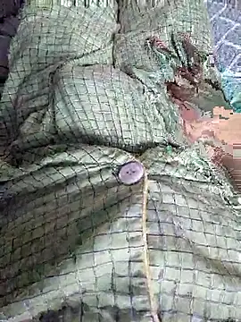 parkpark2 online show from April 4, 2026, 11:55 pm