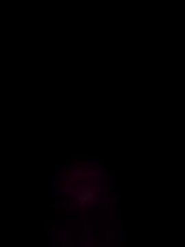 Bzyczek555 online show from November 29, 2025, 2:44 am
