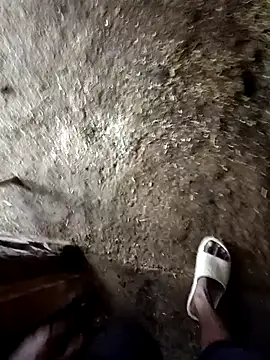 Saddam2332 online show from October 31, 2025, 3:36 am