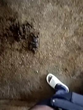 Saddam2332 online show from November 5, 2025, 2:58 am