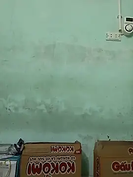  LAN  online show from November 11, 2025, 1:00 am