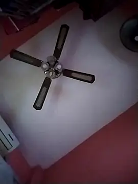 Danii2005 online show from October 30, 2025, 1:42 pm