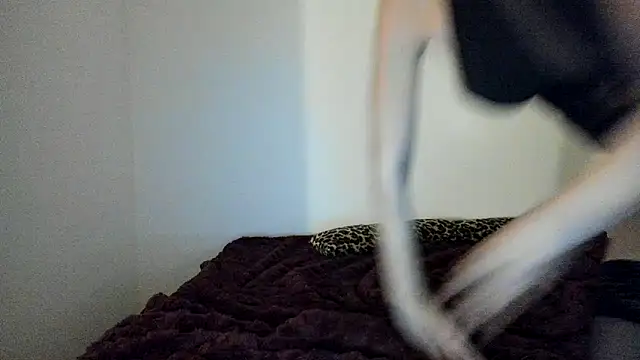 Blueskynicci online show from November 18, 2025, 4:54 pm