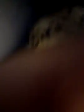 Snapshot of MoAntoMora chatting on November 18, 2025, 4:49 am MoAntoMora online show from November 18, 2025, 4:49 am