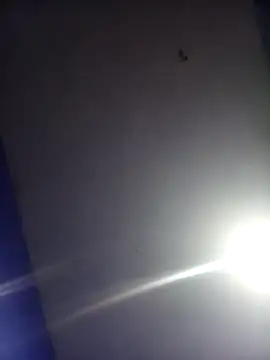 HSexy Men00 online show from November 26, 2025, 8:58 am