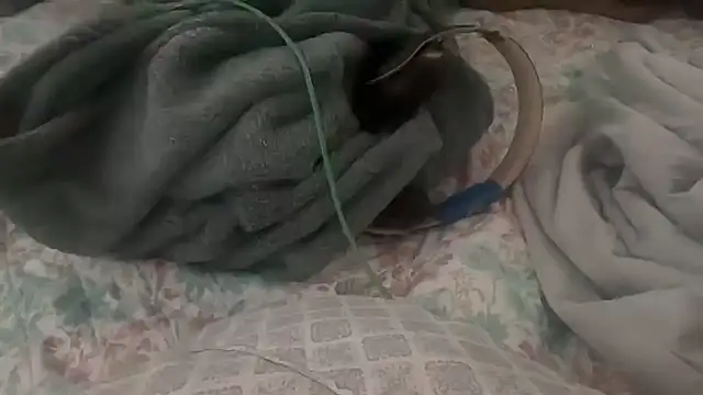 Snapshot of goonwatchin chatting on October 23, 2025, 2:27 pm goonwatchin online show from October 23, 2025, 2:27 pm