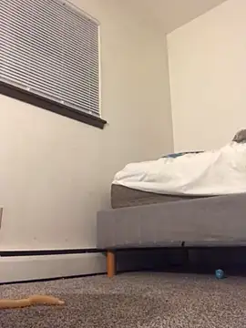 Snapshot of MuffledChase94 chatting on October 25, 2025, 7:07 am MuffledChase94 online show from October 25, 2025, 7:07 am