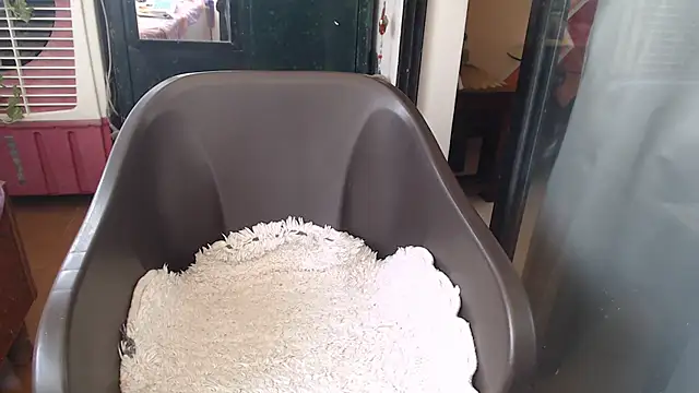 Snapshot of TABOOBREAKERS chatting on March 10, 2025, 9:34 am TABOOBREAKERS online show from March 10, 2025, 9:34 am