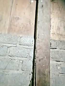 Snapshot of Noelle-e chatting on February 22, 2026, 11:23 am Noelle-e online show from February 22, 2026, 11:23 am