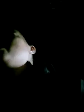 Snapshot of Noelle-e chatting on February 14, 2026, 12:16 pm Noelle-e online show from February 14, 2026, 12:16 pm