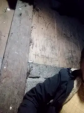 Noelle-e online show from January 9, 2026, 12:12 pm