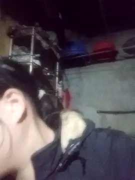 Snapshot of Noelle-e chatting on February 3, 2026, 11:15 am Noelle-e online show from February 3, 2026, 11:15 am