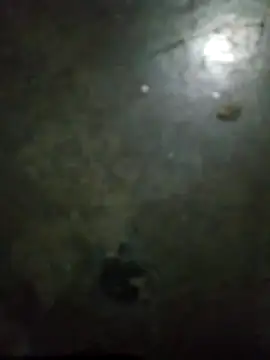 Snapshot of gugugyu chatting on October 30, 2025, 12:25 pm gugugyu online show from October 30, 2025, 12:25 pm