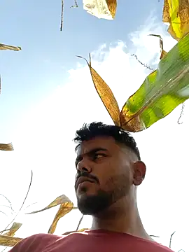 devil boy 0909 online show from November 4, 2025, 7:23 am