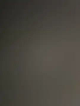 WildNour online show from November 15, 2025, 4:33 pm