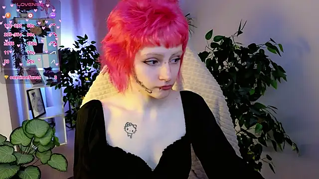 karkadeshk online show from April 9, 2026, 4:24 pm