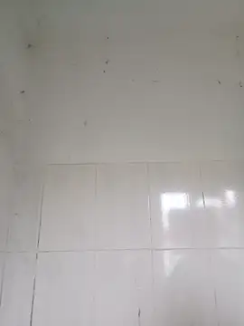 Snapshot of bella-la chatting on February 12, 2026, 12:54 am bella-la online show from February 12, 2026, 12:54 am