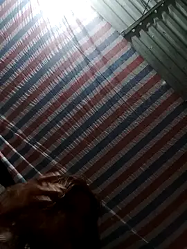 Snapshot of bella-la chatting on February 2, 2026, 11:26 pm bella-la online show from February 2, 2026, 11:26 pm