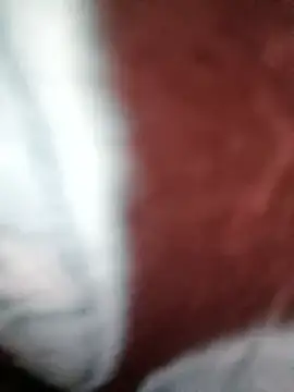 bigtelugubhama online show from November 22, 2025, 11:09 am