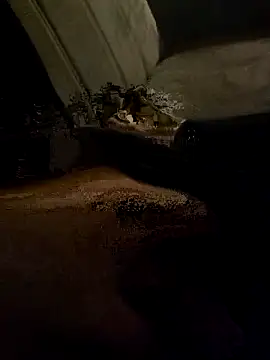 Snapshot of centro6891 chatting on October 31, 2025, 11:22 pm centro6891 online show from October 31, 2025, 11:22 pm