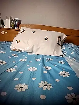 BD 228 online show from April 9, 2026, 11:33 pm