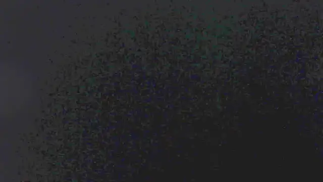 little emiily  online show from November 5, 2025, 11:02 am