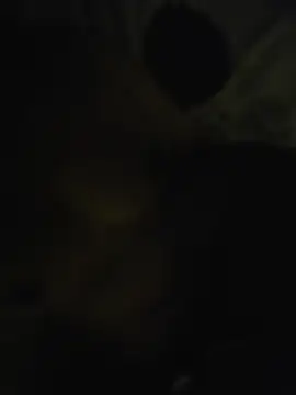 Roomhot404f online show from July 23, 2026, 3:37 am