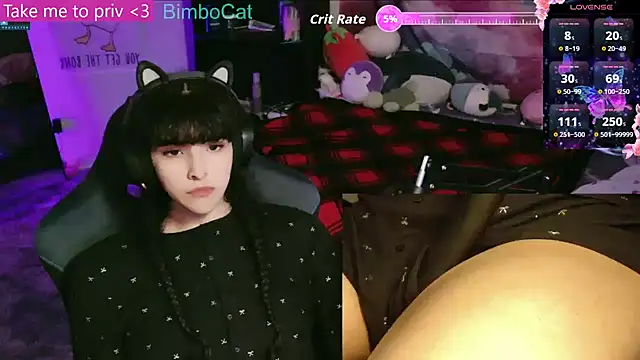 BimboCat online show from December 16, 2025, 9:08 pm
