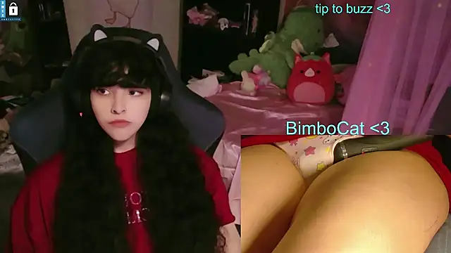 Snapshot of BimboCat chatting on June 11, 2026, 8:28 pm BimboCat online show from June 11, 2026, 8:28 pm