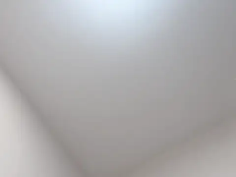 qianxin2007 online show from November 4, 2025, 12:31 pm