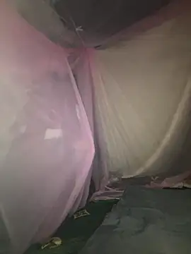 gino-sex online show from November 28, 2025, 6:02 am