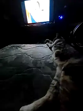 Snapshot of AntoniGM25 chatting on October 31, 2025, 1:13 am AntoniGM25 online show from October 31, 2025, 1:13 am