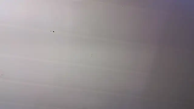 malen fitnessmilf online show from March 23, 2026, 11:43 am