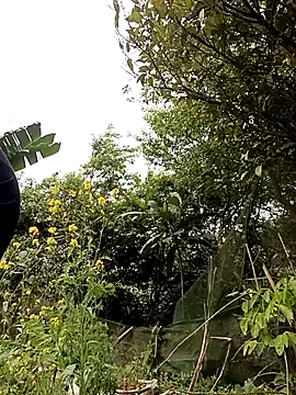 Alice-567 online show from March 10, 2026, 6:28 am