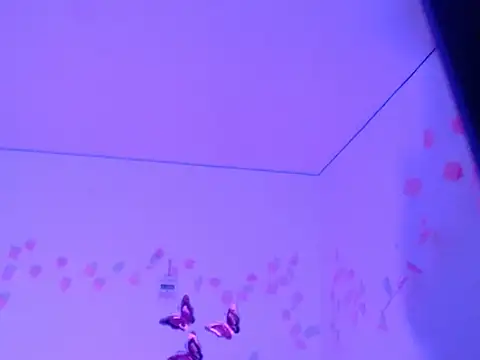 Samanta 777 online show from November 26, 2025, 11:21 am