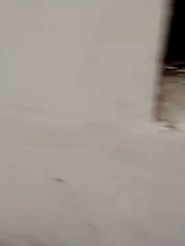 Jacqueline007 online show from December 21, 2025, 12:57 am