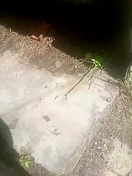 Snapshot of Narwindruners chatting on November 3, 2025, 6:55 pm Narwindruners online show from November 3, 2025, 6:55 pm