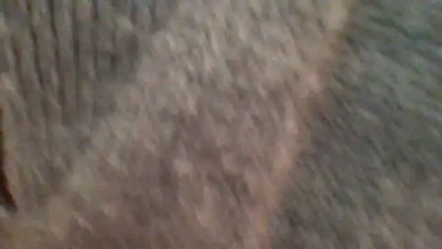 Snapshot of metissjeunn chatting on February 8, 2026, 5:43 pm metissjeunn online show from February 8, 2026, 5:43 pm