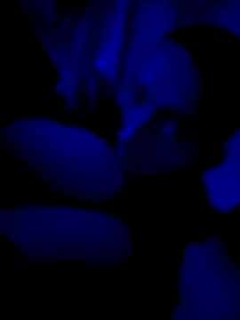 Snapshot of PitoDuroWuero chatting on November 12, 2025, 1:10 am PitoDuroWuero online show from November 12, 2025, 1:10 am