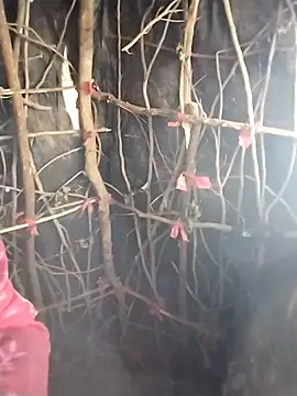 Jooli cuty online show from February 20, 2026, 11:12 am