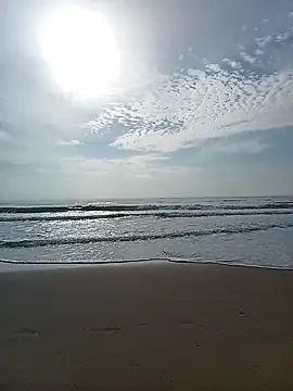 sexyspicy1804 online show from November 28, 2025, 4:56 am