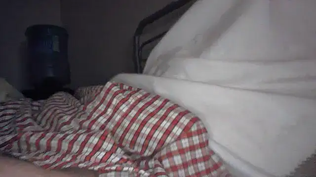 Elieantte online show from November 9, 2025, 10:03 pm