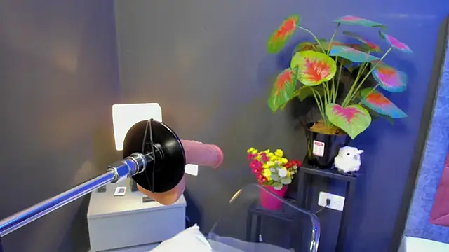 Amy whittee online show from April 12, 2026, 3:43 am