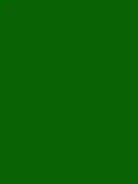 ParlousCarpet online show from April 13, 2026, 3:32 am