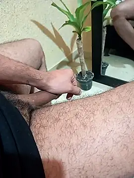 prototipoA45 online show from November 19, 2025, 12:38 pm